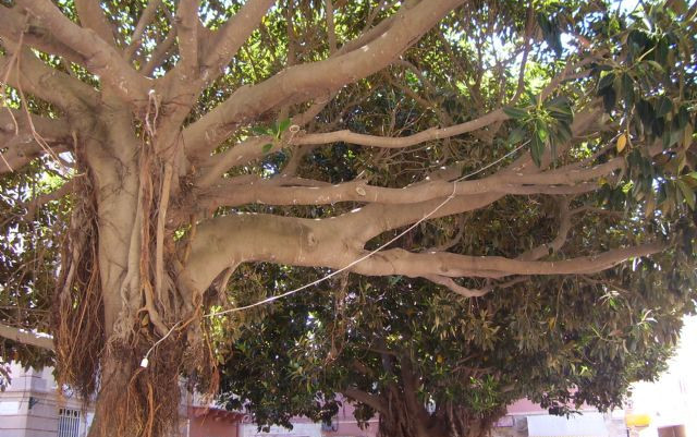 Appunti dalla Sardegna