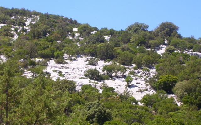 Appunti dalla Sardegna