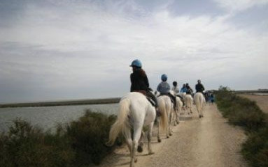 Viaggio in Camargue Aprile 2013