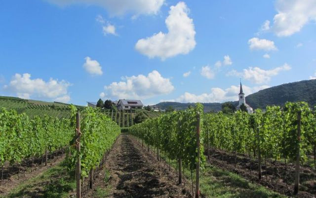 Appunti di viaggio Germania Ovest