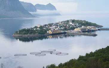 Norvegia 2013