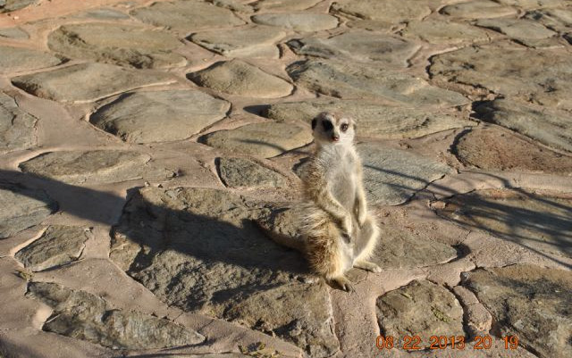 Namibia 