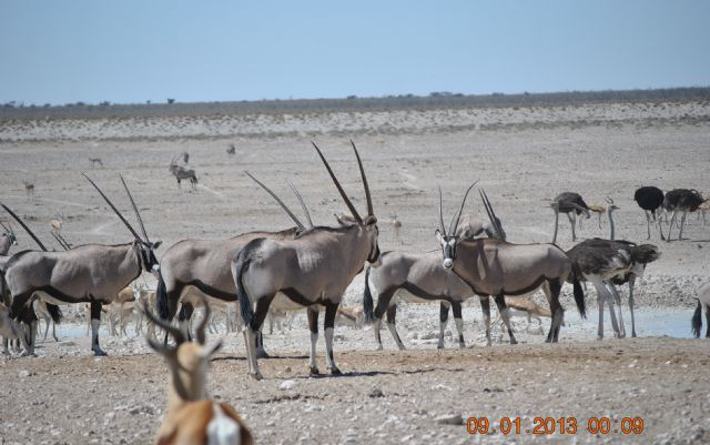 Namibia 