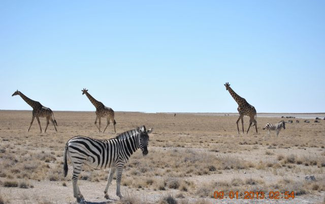 Namibia 