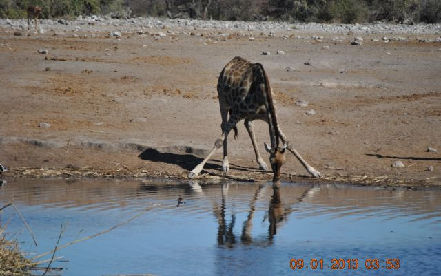 Namibia 