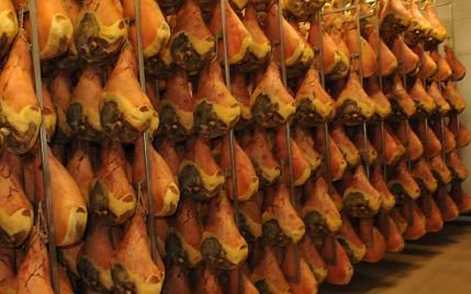 Parma ed alcune località della sua provincia
