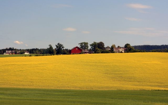 Magica Norvegia dei Fiordi e Olanda