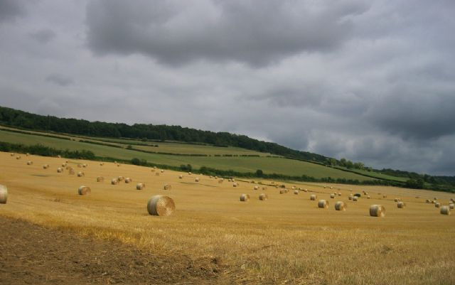 Francia 2013: Borgogna e Loira, castelli e natura