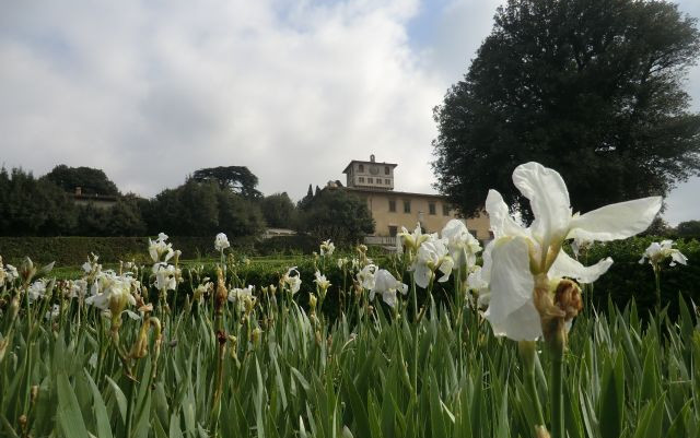 Viaggio d'arte in Toscana