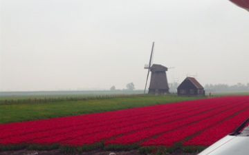 Paesi Bassi e Amsterdam