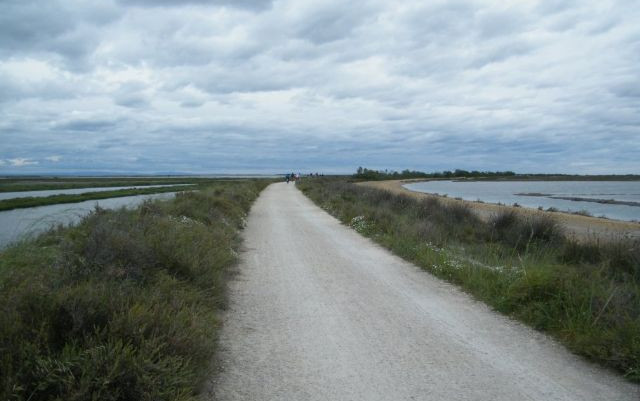 La Camargue, finalmente