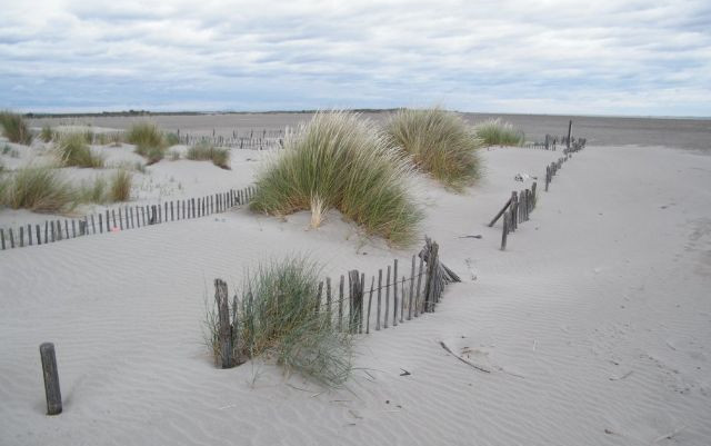 La Camargue, finalmente