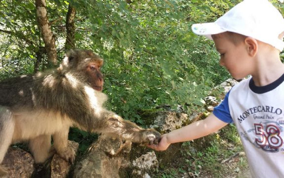 Le gole del Verdon, il Perigord e l'Aquitania