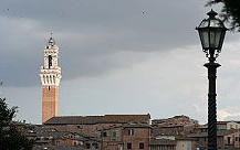 Terredisiena