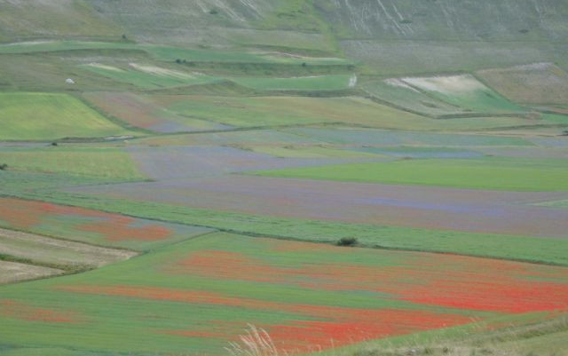 Puglia, Basilicata, Volo dell'Angelo, Umbria