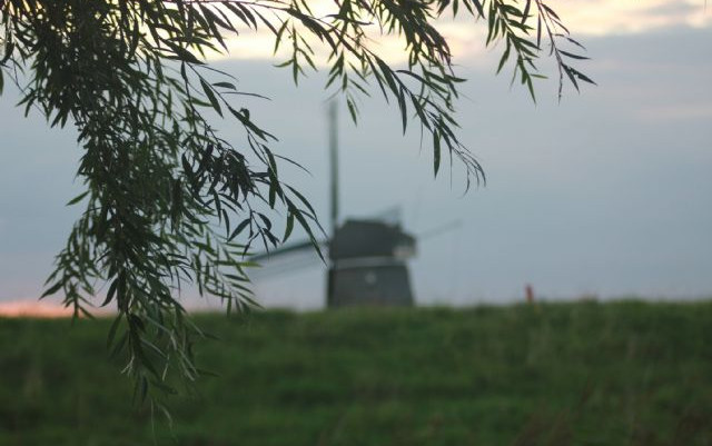 Olanda Agosto 2014