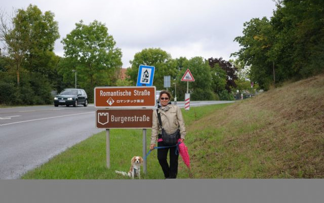 Romantische Strasse, Monaco, Dachau e Linderhof 