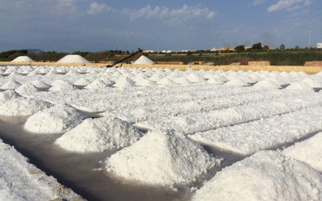 Sicilia Occidentale 2014