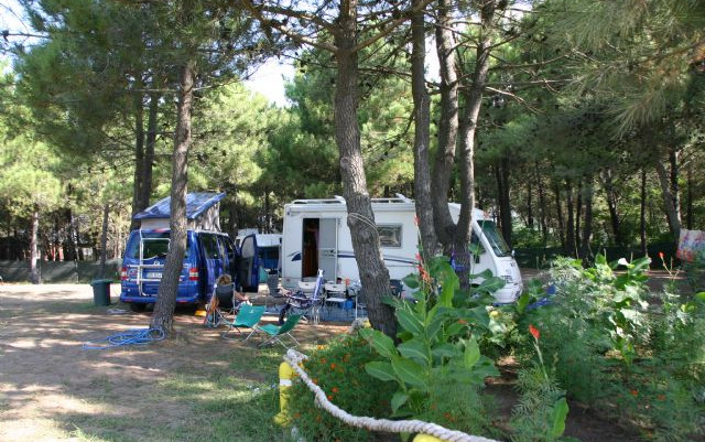 Balcani 2014