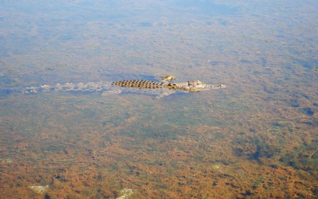 14.000 km in camper attraverso l'Australia