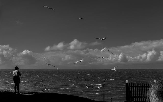 Holland 2013 - un po' in ritardo!