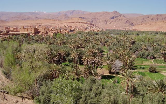Da Marrakesh a Zagora, poi a Merzouga