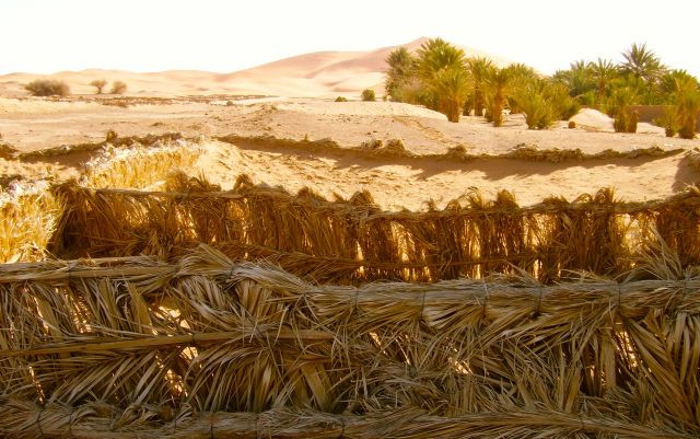 Da Merzouga a Fez, Mekhnès, Ceuta