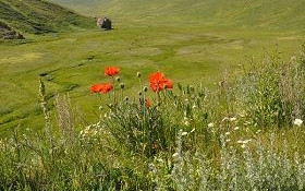 Diario di Viaggio in camper in Georgia e Armenia