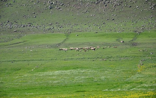 Diario di Viaggio in camper in Georgia e Armenia