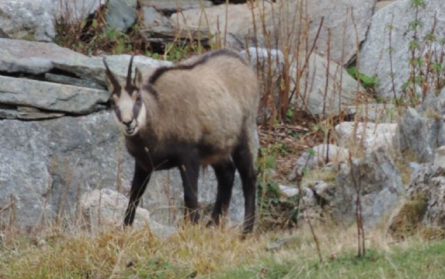 Un breve weekend nel Parco del Gran Paradiso