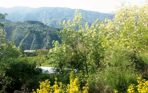 La Calabria intrigante: dall'Aspromonte alle Serre