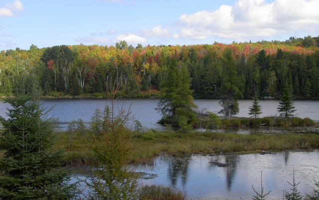Viaggio in Canada
