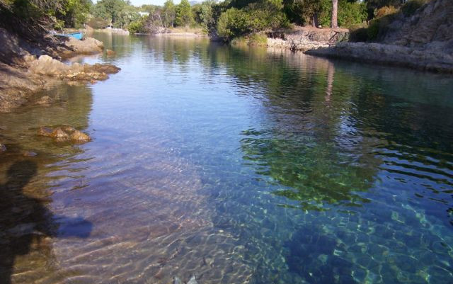 Sardegna a 2 e 4 zampe