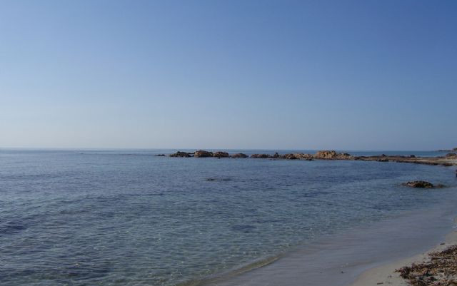 Sardegna a 2 e 4 zampe