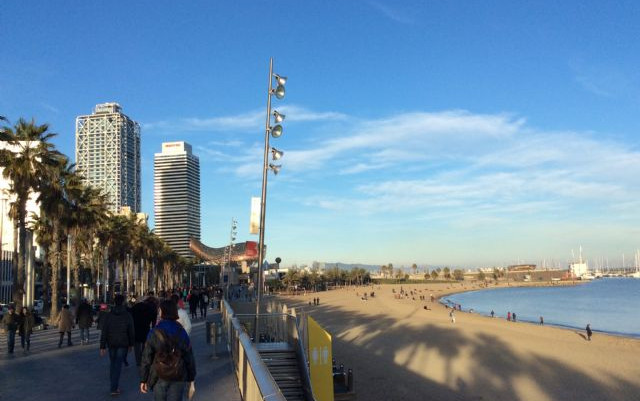 Barcellona e Camargue Inverno 2014