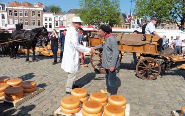 Olanda, Luglio 2015