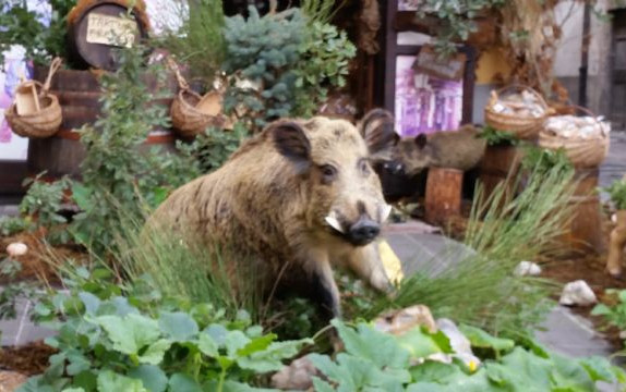 Luglio in giro per l'Italia, mare e montagna