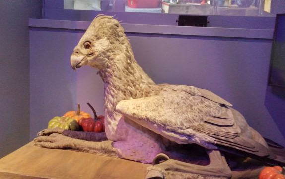 Viaggio a Londra sulle tracce di Harry Potter