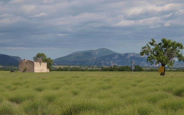 Primavera in Provenza