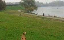 Mantova... con sorpresa!