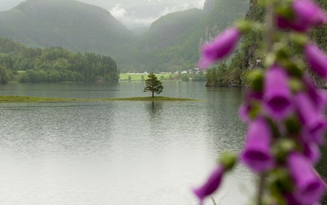 Norvegia 2015