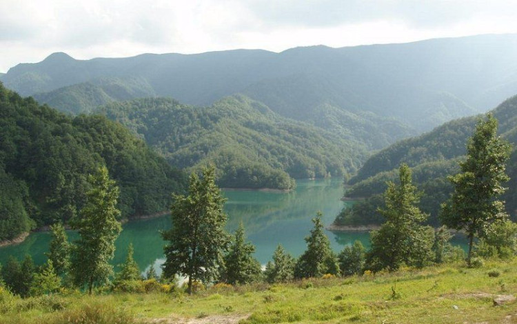 Parco Nazionale Foreste Casentinesi