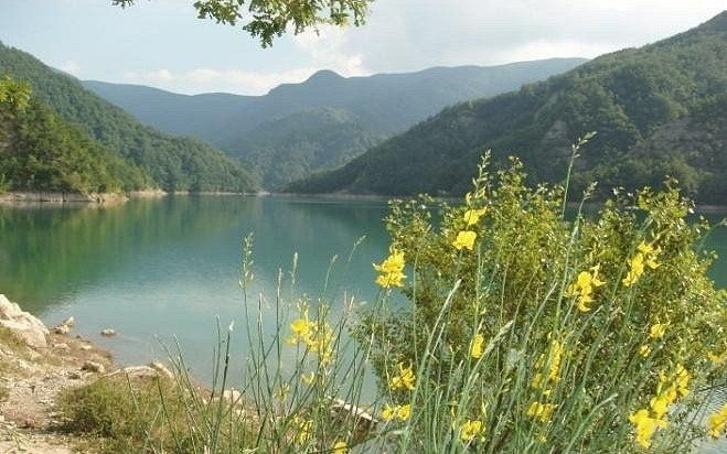 Parco Nazionale Foreste Casentinesi