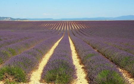 Verdon e Provenza 2011