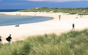 Dorset: Oltre il Jurassico c'è di più