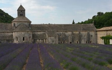 Da Verona verso la Lavanda passando per le Gorges 