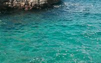 Salento - Agosto 2014