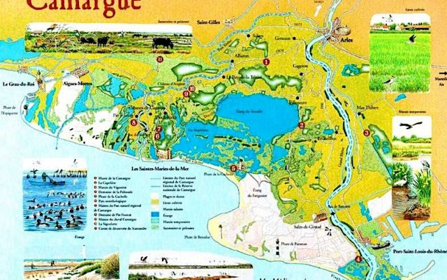 Camargue e dintorni