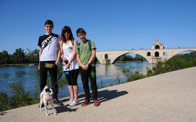Francia: Avignone e Carcassonne