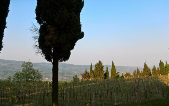 Un ponte tra vigneti... e Prosecco